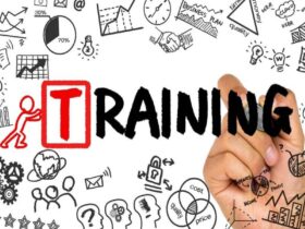 What Is a Training Program: A Comprehensive Guide