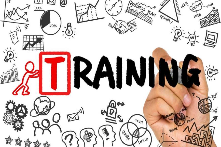 What Is a Training Program: A Comprehensive Guide