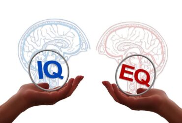 Cerebrum IQ Review