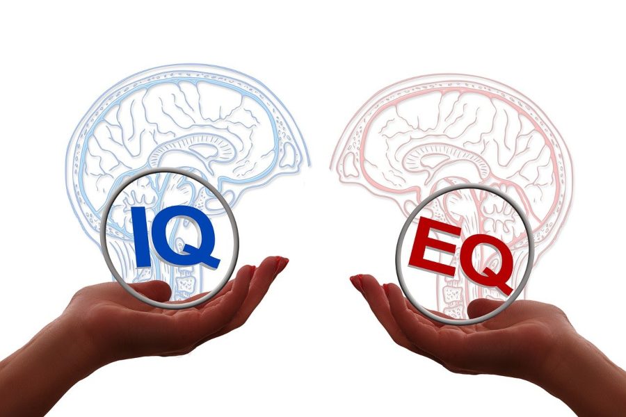 Cerebrum IQ Review