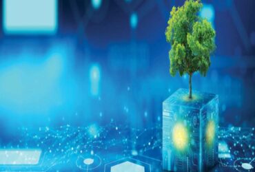 Sustainable Technology in Schools: Cutting Costs and Carbon Footprints