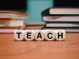A Modern Educator's Guide to Effective Teaching Styles