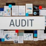 Auditing and Optimizing Local Citations Across Niche Directories