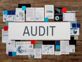 Auditing and Optimizing Local Citations Across Niche Directories