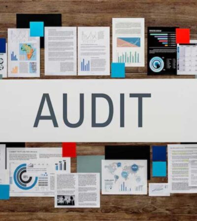Auditing and Optimizing Local Citations Across Niche Directories