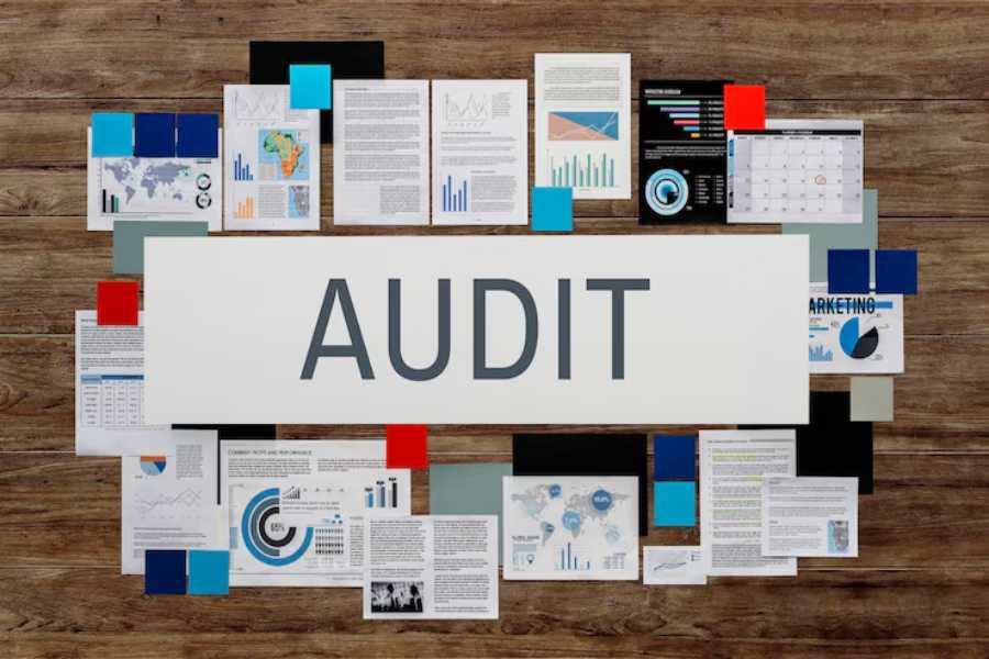 Auditing and Optimizing Local Citations Across Niche Directories