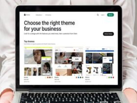 Criteria for Choosing a Theme for a Shopify Online Store