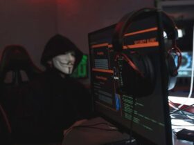 What They Are and Their Function in Network Protection