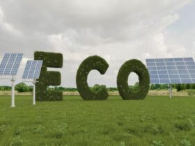 Recycled Panels Renewed Power