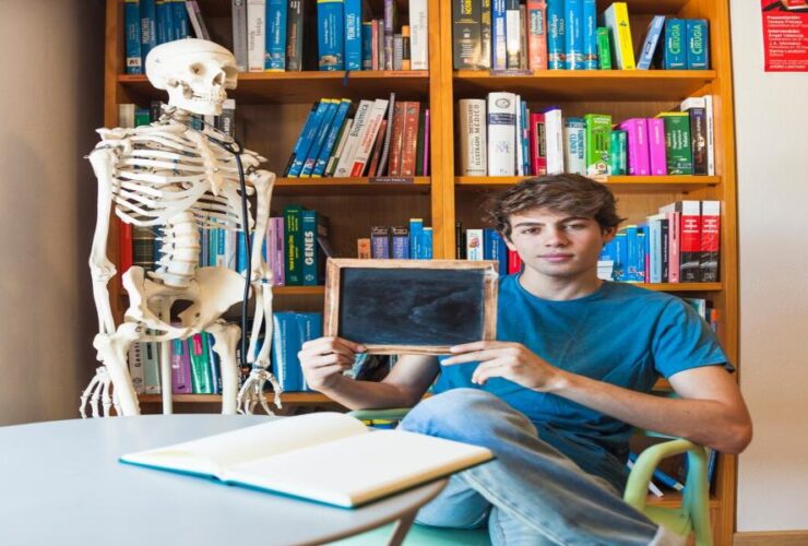 Study Strategies for Anatomy Physiology and Biomechanic