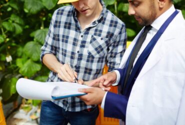 A Practical Guide To Roofing License Education in Illinois