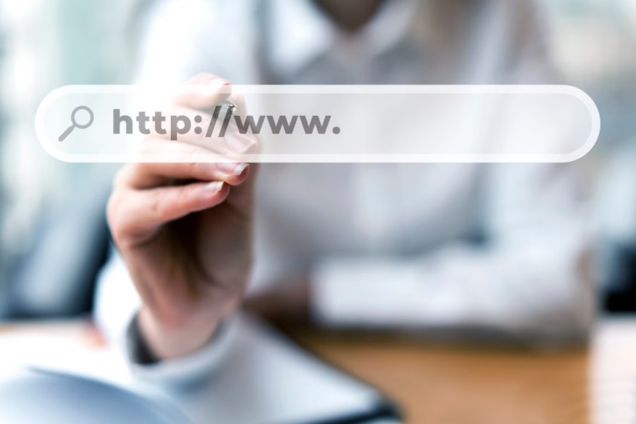 Domain Age Checker by Alaikas