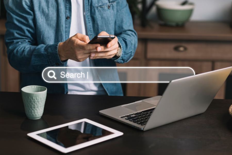 search engine spider simulator by alaikas